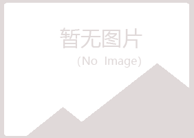 日照岚山曼山媒体有限公司